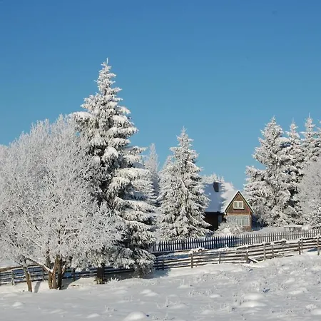 Motilor Casa de hóspedes Mărişel