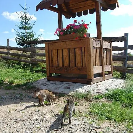 Motilor Mărişel